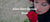 Alles über die rote Rose 