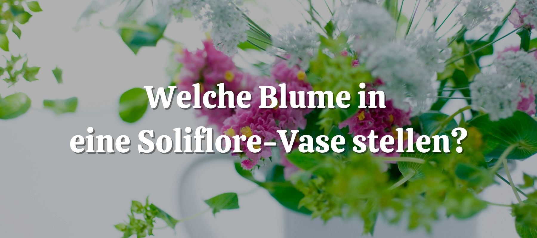 Welche Blume in eine Soliflore-Vase stellen