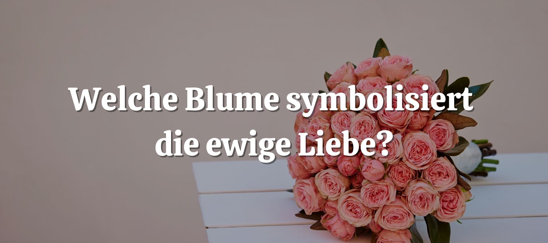 Welche Blume symbolisiert die ewige Liebe