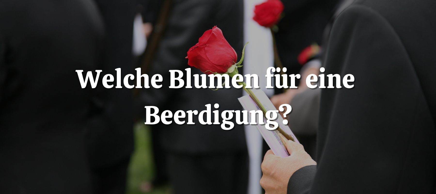 Welche Blumen für eine Beerdigung
