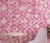 Blumenwand Zusammensetzung der rosa Rosen