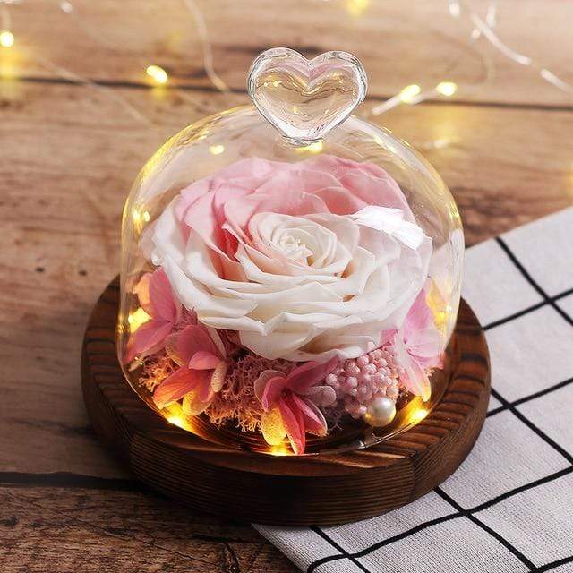 Ewige Rose im Glas Hellrosa und Weiß