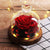 Ewige Rose Unter Glocke LED