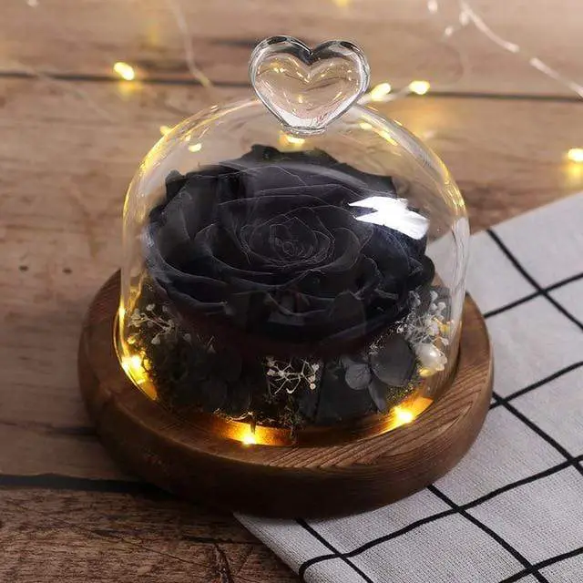 Ewige Rose im Glas Schwarz