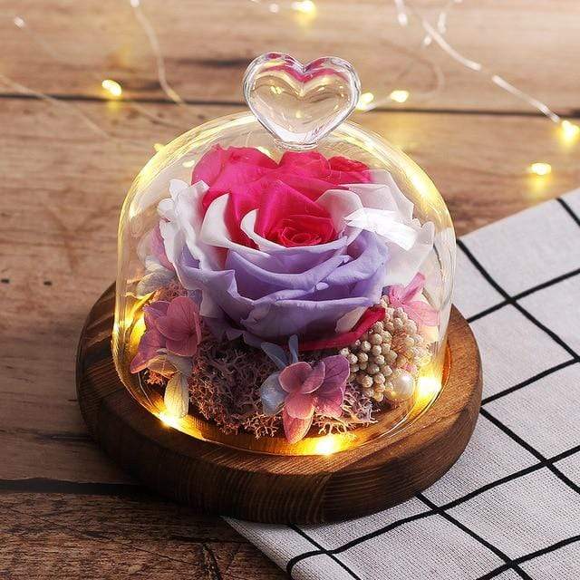 Ewige Rose im Glas Rosa, Weiß und Violett