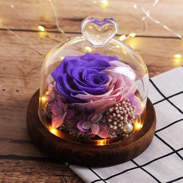 Ewige Rose im Glas Rosa und Violett