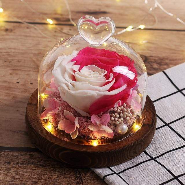Ewige Rose im Glas Rosa und Weiß
