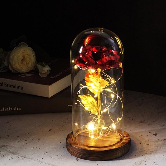 Rose im Glas mit Licht Unter der Glocke