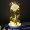 LED rose Weiß