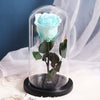 Ewige Rose Türkisblau