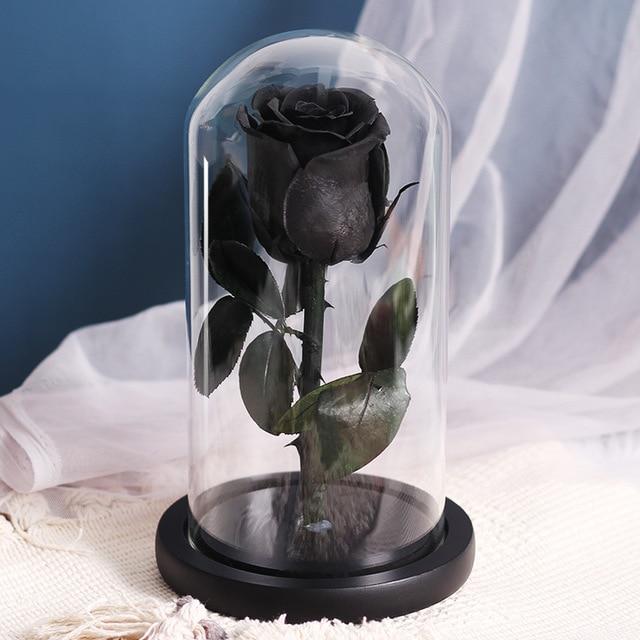 Ewige Schwarze Rose Unter Glocke