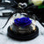 Kleine Ewige Rose Tiefblau