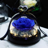 Kleine Ewige Rose Blau