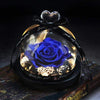 Kleine Ewige Rose Blau unter Glocke