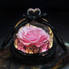 Kleine Ewige Rose Rosa unter Glocke